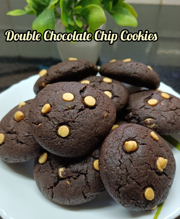 Double Chocolate Chip Cookies (200 gms)